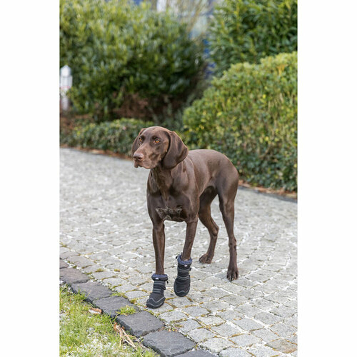 Leg protection walker Trixie Black L/XL